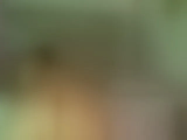 Live sex webcam photo for VivianneHart #292270428
