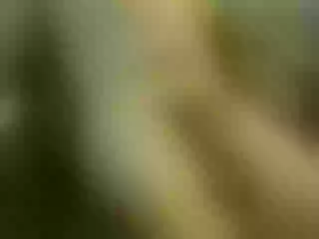 Live sex webcam photo for VladZhig1 #275709079