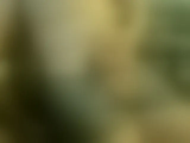Live sex webcam photo for VladZhig1 #275744301