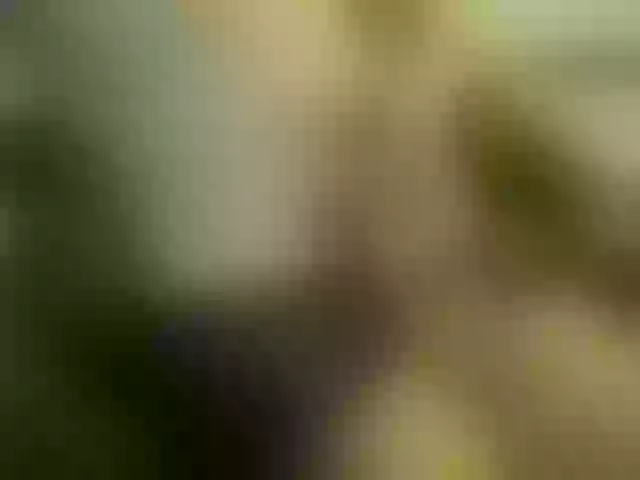 Live sex webcam photo for VladZhig1 #275934699