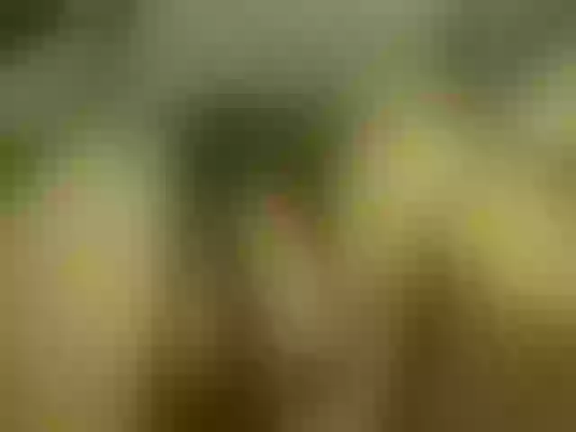Live sex webcam photo for VladZhig1 #276006795