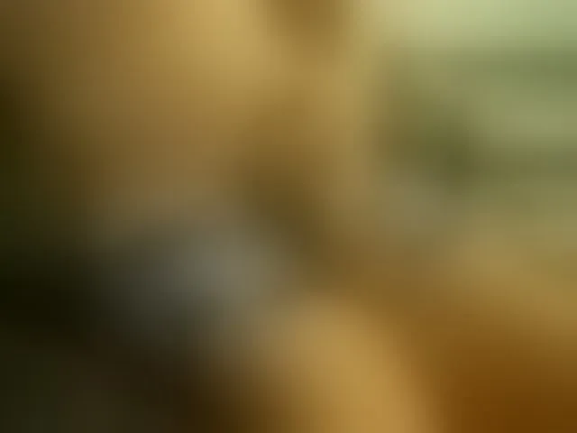 Live sex webcam photo for VladZhig1 #276054590