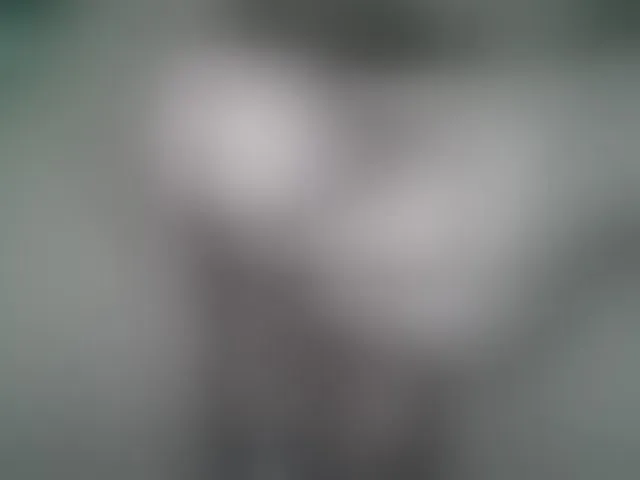 Live sex webcam photo for VladZhig1 #276245698
