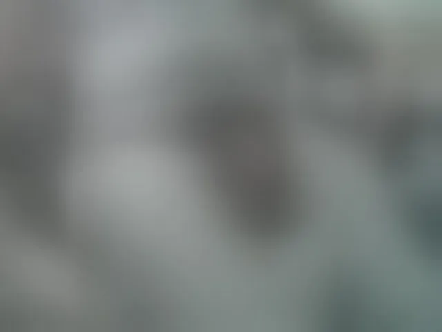 Live sex webcam photo for VladZhig1 #276439837