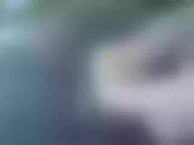 Live sex webcam photo for VladZhig1 #276489664