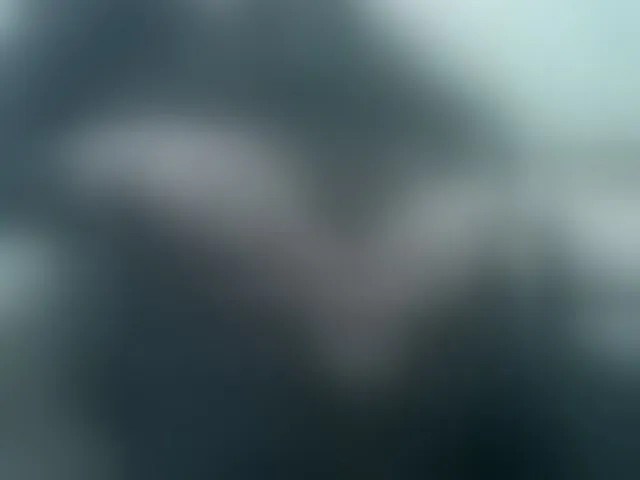 Live sex webcam photo for VladZhig1 #276702767