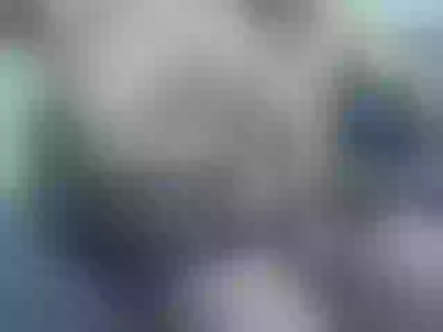 Live sex webcam photo for VladZhig1 #277255898