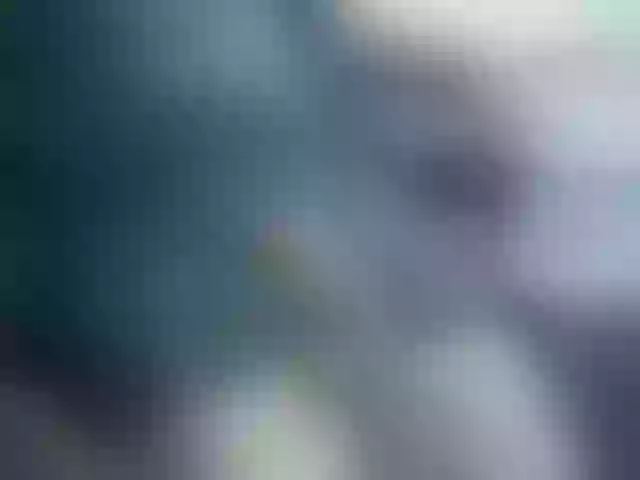Live sex webcam photo for VladZhig1 #277471210