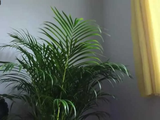 Live sex webcam photo for VladaMais #276145483