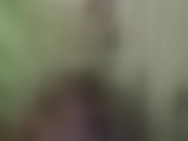 Live sex webcam photo for Volodymyr321 #291165928