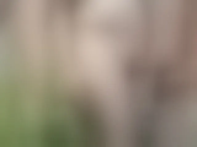 Live sex webcam photo for Volodymyr321 #293761026