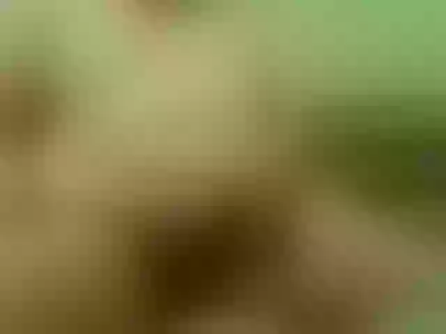 Live sex webcam photo for Vyka-Vyka #272048562