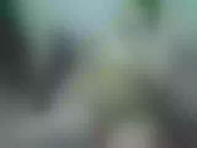 Live sex webcam photo for Vyka-Vyka #277037221