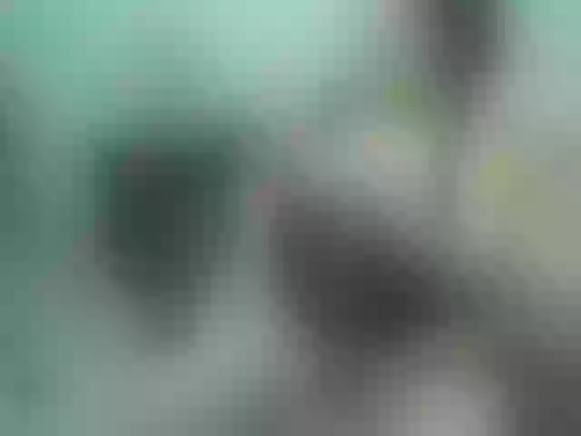 Live sex webcam photo for Vyka-Vyka #277479415