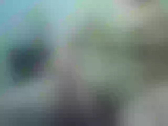Live sex webcam photo for Vyka-Vyka #277525908