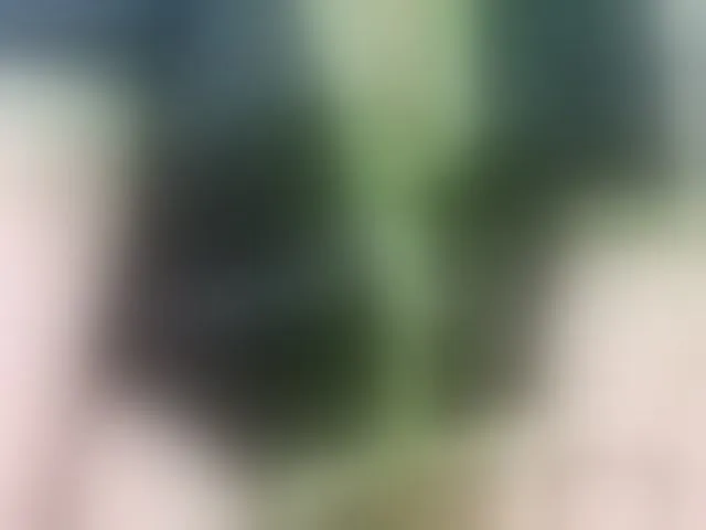 Live sex webcam photo for Vyka-Vyka #293129269