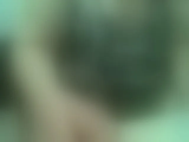 Live sex webcam photo for Vyka-Vyka #293927929