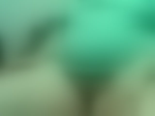 Live sex webcam photo for Vyka-Vyka #294159120