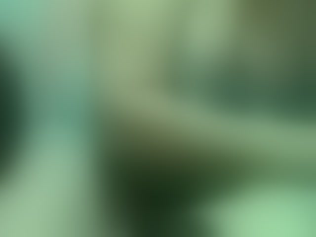 Live sex webcam photo for Vyka-Vyka #294164096