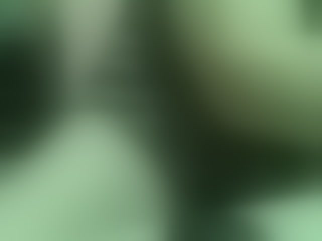 Live sex webcam photo for Vyka-Vyka
