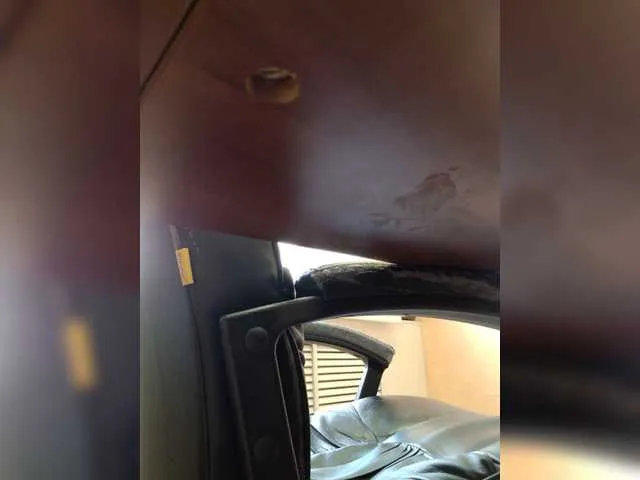 Live sex webcam photo for WWoollff75 #273909218