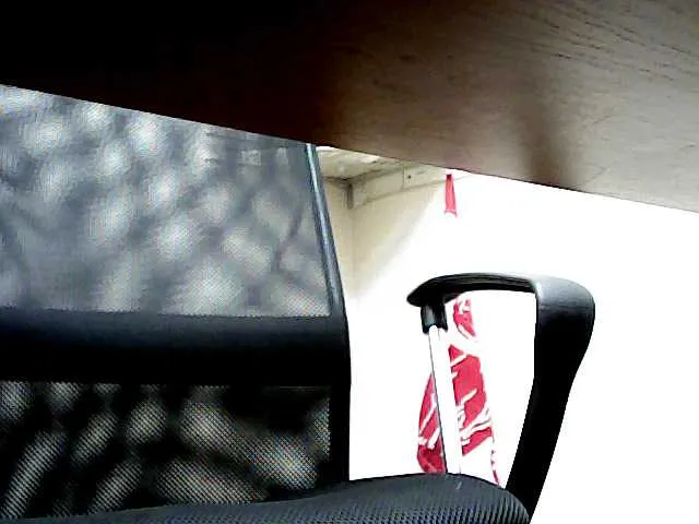 Live sex webcam photo for WWoollff75 #278305390