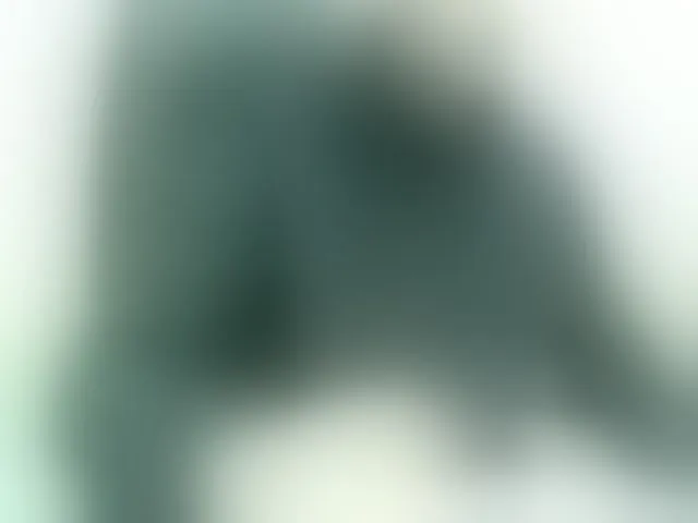 Live sex webcam photo for WWoollff75 #292740091