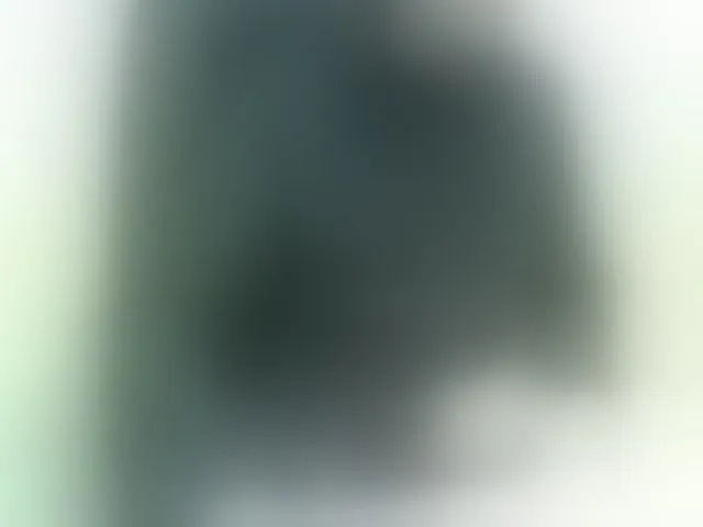 Live sex webcam photo for WWoollff75 #293044437