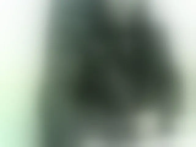 Live sex webcam photo for WWoollff75 #293061383