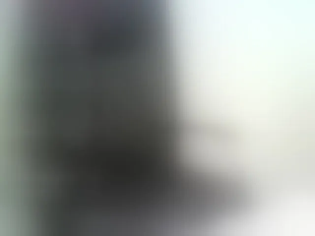 Live sex webcam photo for WWoollff75 #293154066