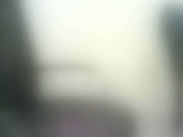 Live sex webcam photo for WWoollff75 #293948428