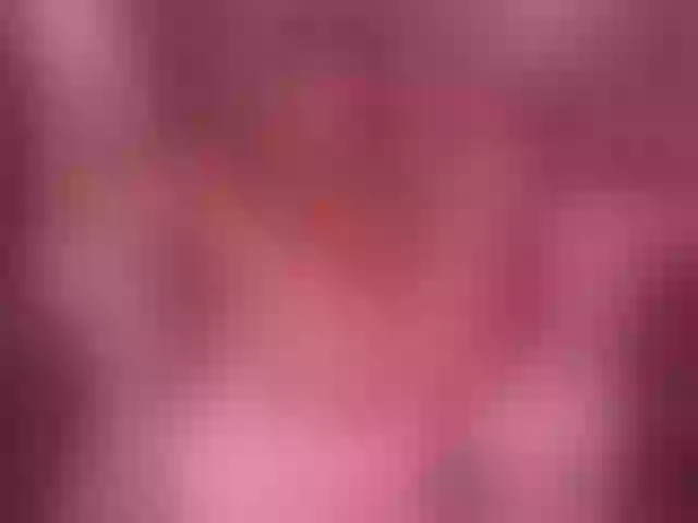 Live sex webcam photo for WaltEnjoy #292056646