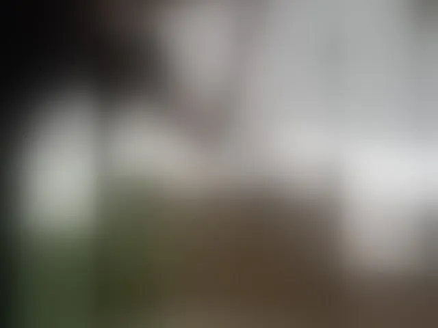 Live sex webcam photo for Waname #292554578