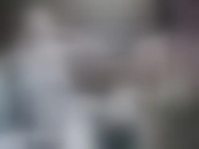 Live sex webcam photo for Wearedesires #292542018