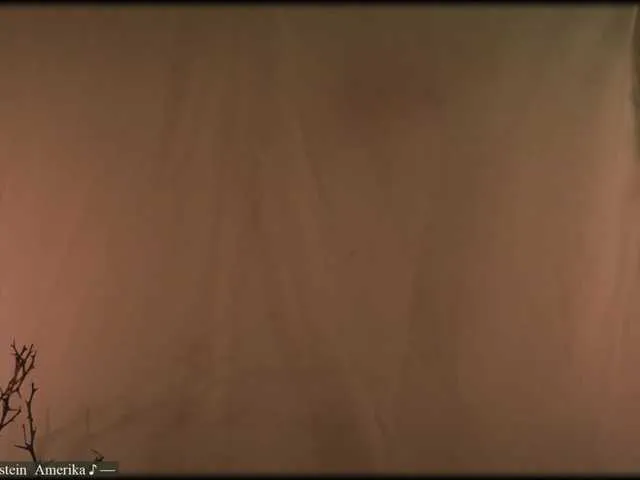 Live sex webcam photo for WebCora #276547225