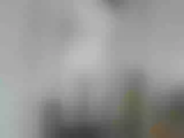 Live sex webcam photo for Webca430 #291384951