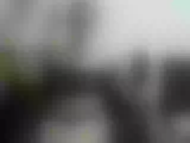 Live sex webcam photo for Webca430 #292108129