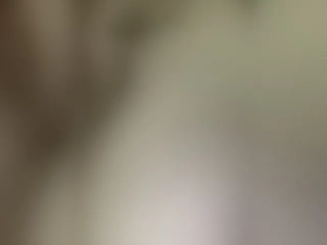Live sex webcam photo for Webcouple #276347487