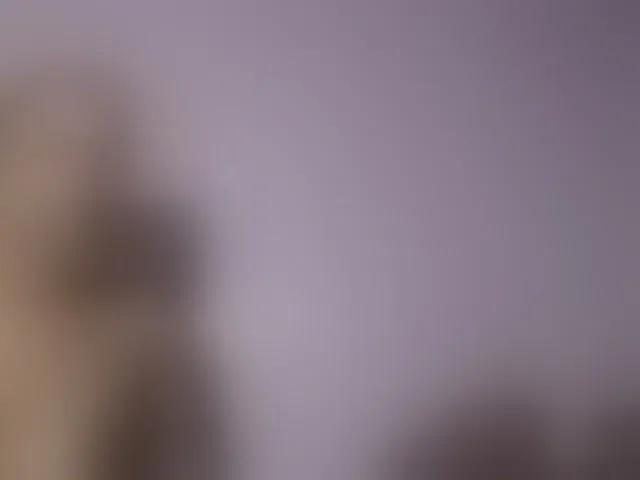 Live sex webcam photo for Wet-pussy66 #293257360
