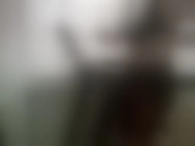 Live sex webcam photo for Wetgerman2 #293044168
