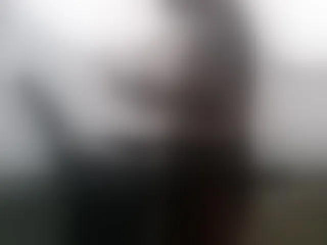 Live sex webcam photo for Wetgerman2 #293146801
