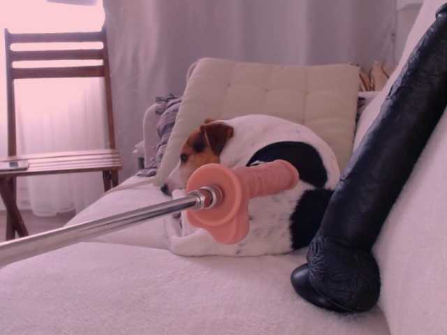 Live sex webcam photo for WildRedheadCR #273357442