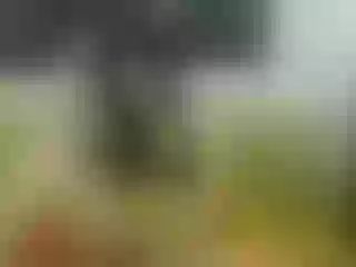 Live sex webcam photo for Wildangel69 #136079092