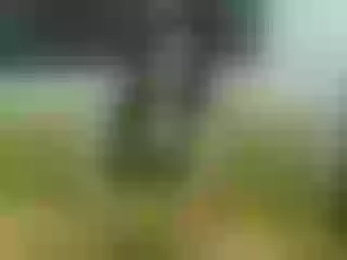 Live sex webcam photo for Wildangel69 #136079973