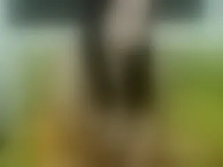 Live sex webcam photo for Wildangel69 #136200770