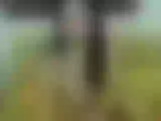Live sex webcam photo for Wildangel69 #136224350