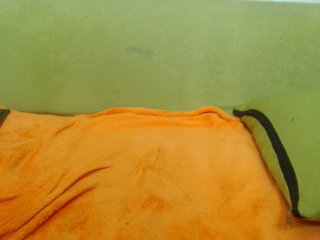 Live sex webcam photo for Wildangel69 #145582516