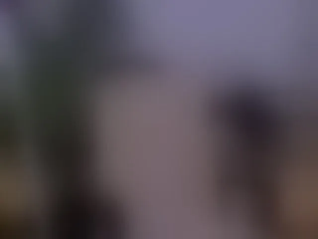 Live sex webcam photo for WilliamSnake #292759977