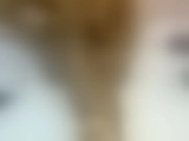 Live sex webcam photo for Winnie112 #291731401