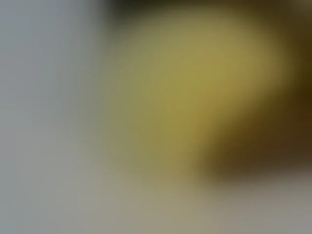 Live sex webcam photo for Winnie112 #293272133